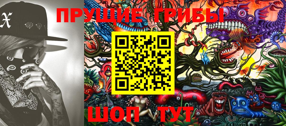 Псилоцибиновые грибы Psilocybe Ликино-Дулёво