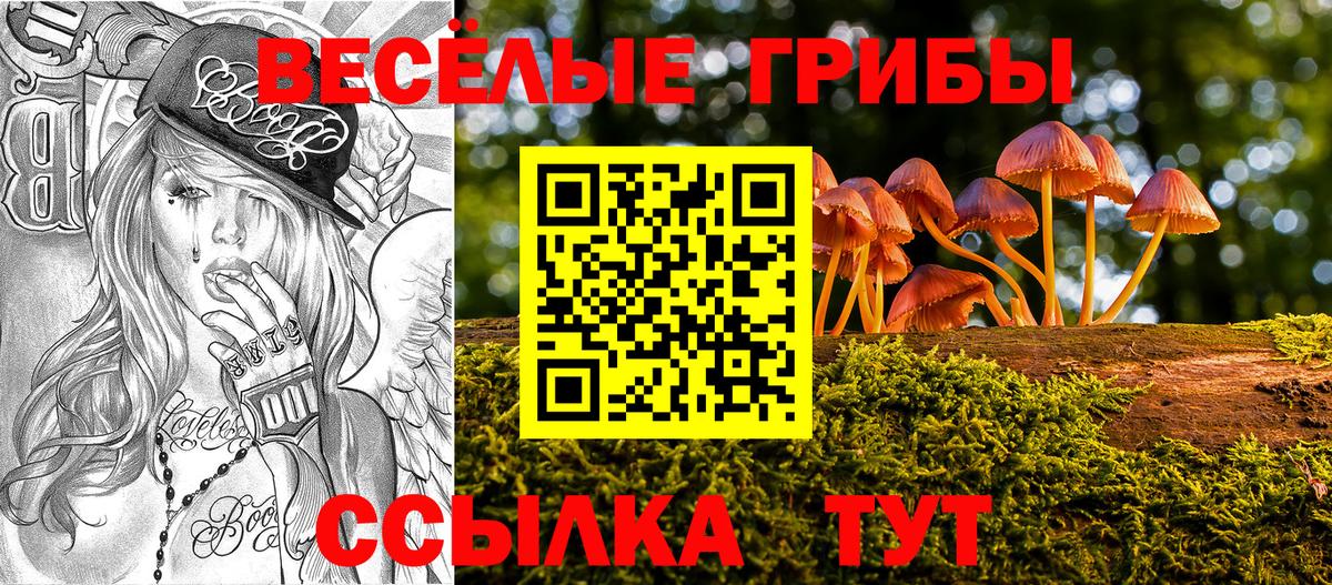 Ликино-Дулёво  как найти   Вход с VPN  Галлюциногенные грибы Psilocybe 